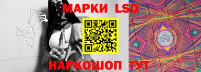 СК Можга