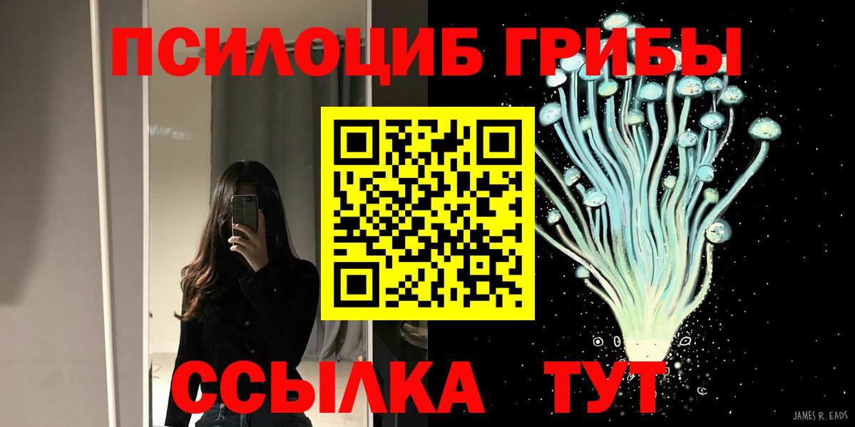 Галлюциногенные грибы Psilocybe  Вход с VPN  Сердобск 